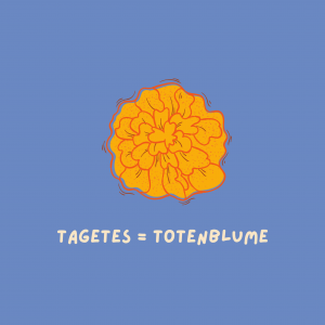 Tagetes = Totenblume